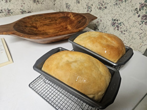 20250504_131717s picture_of_bread_dough
